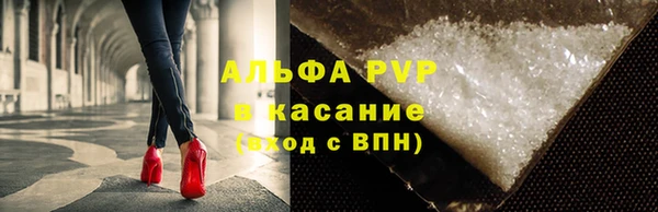 гидра Белокуриха