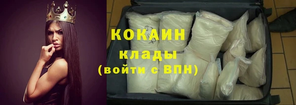 гидра Белокуриха
