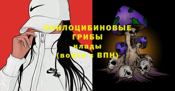 гидра Белокуриха