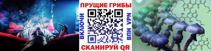 Псилоцибиновые грибы MAGIC MUSHROOMS  Волжск 